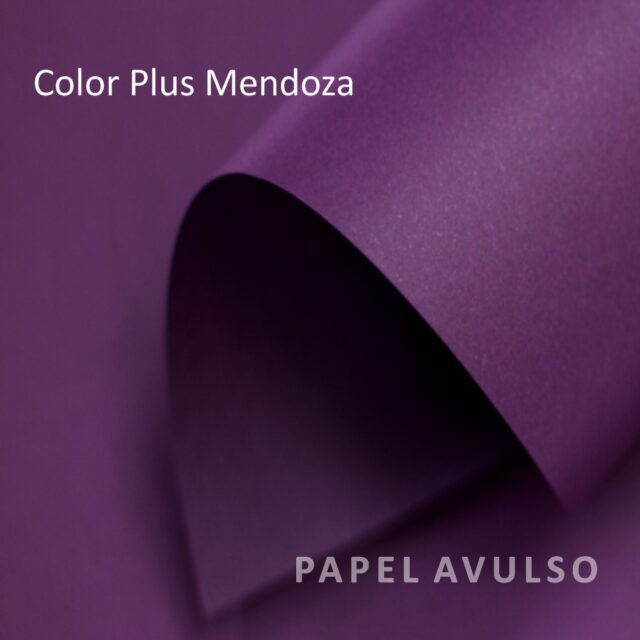 Papel Color Plus Mendoza