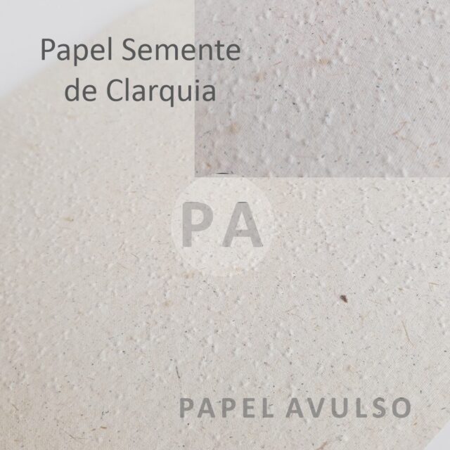Papel Semente de Clarquia - KAMI