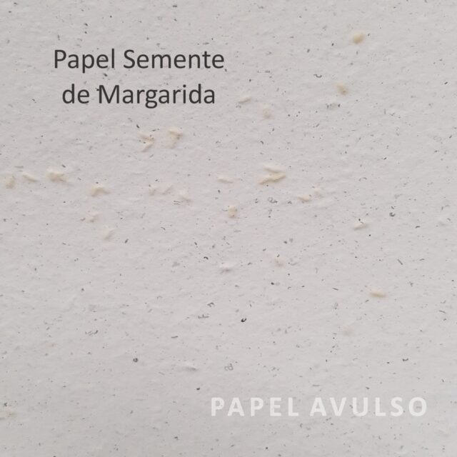 Papel Semente de Margarida